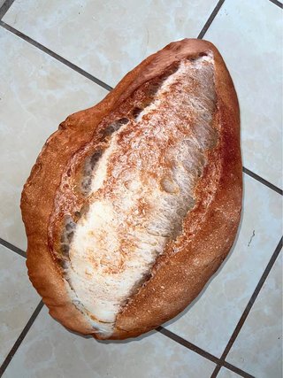 Almohada decorativa pan bolillo