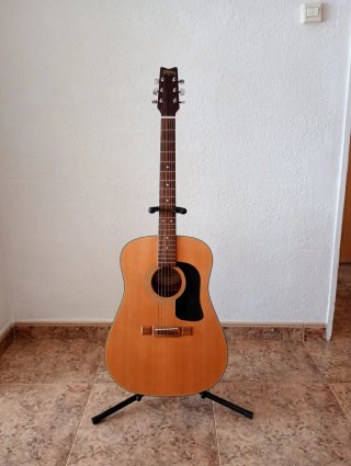 Guitarra Acústica Washburn