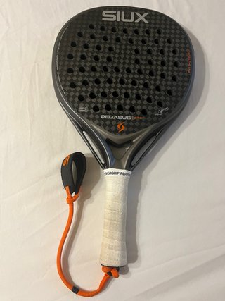 Siux Pegasus Pro 2026