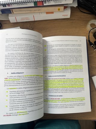 El extranjero en el derecho español