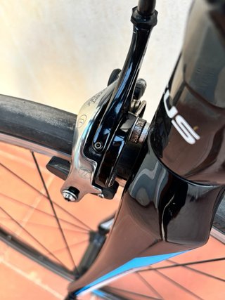 Focus Cayo Carbono Talla 54 - M