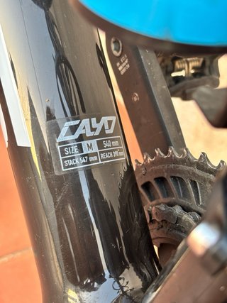 Focus Cayo Carbono Talla 54 - M