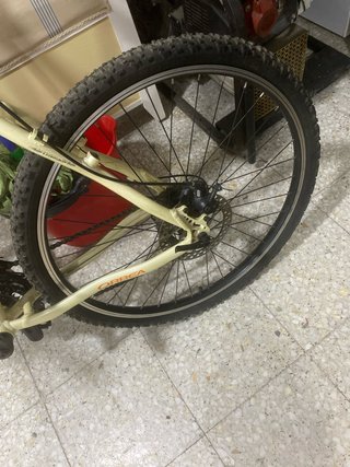 Bicicleta de Montaña Orbea Naranja/Crema