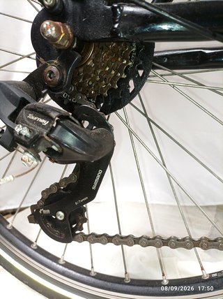 Bicicleta Eléctrica F.lli Schiano EMoon 26