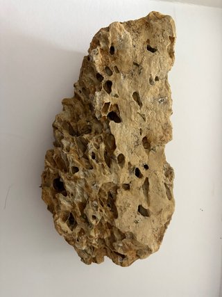 Roca dragón para acuario