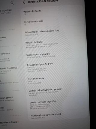 Tablet Samsung Gris/Azul