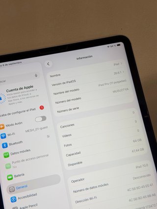iPad Pro 11” 64 GB Cellular Plata 1a gen.
