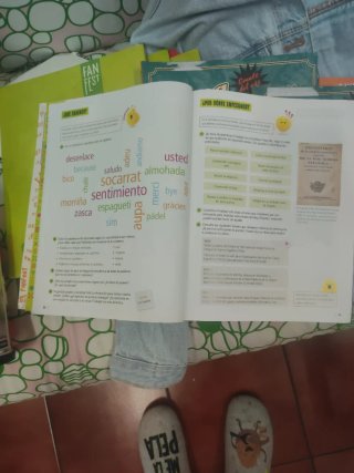 Lengua Castellana y Literatura 6, Tercer Ciclo ...