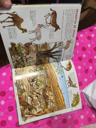 Busca los animales de la selva