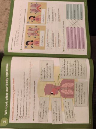 Natural Science, 6 Primary, World Makers Activi...