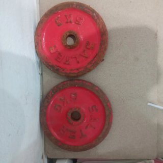 Discos de 5 kg salter 2 ud 12 euros
