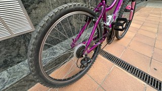 Bicicleta Morada Montaña