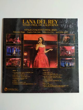 Vinilo Lana del Rey - Stars Fell on California