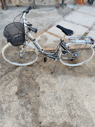 Bicicleta Bottecchia