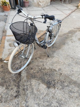 Bicicleta Bottecchia