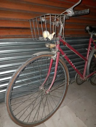 Bicicletas vintage 2 modelos.