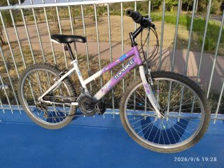 Bicicleta TOPBIKE 24' Morado/Blanco