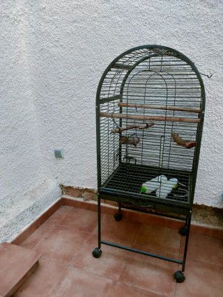 Jaula para pájaros grandes  negra con ruedas