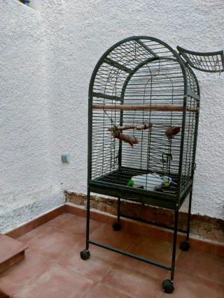 Jaula para pájaros grandes  negra con ruedas