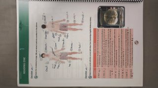 Libro de inglés para farmacia y parafarmacia