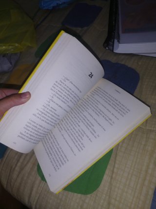 Flow [libro I]