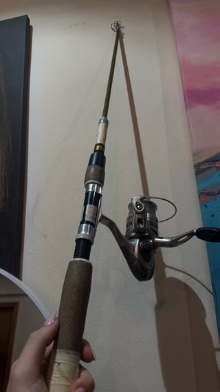 Caña Pesca Telescópica + Carrete Carolina 104