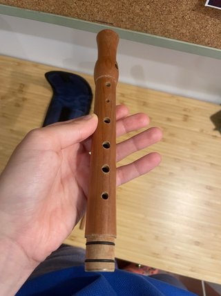 Flauta de pico Hohner con funda