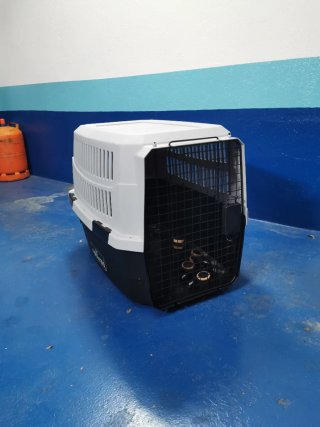 Transportín Perros Negro y Blanco