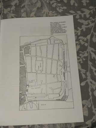 Jauntxoak Burgesak Eta Foruak - libro de historia