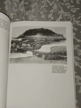 Jauntxoak Burgesak Eta Foruak - libro de historia