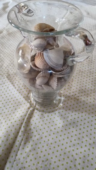 Vaso decorativo con conchiglie