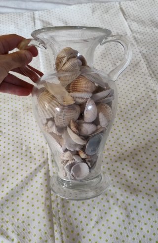 Vaso decorativo con conchiglie