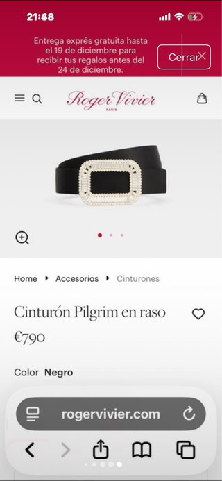 Cinturón Roger Vivier Hebilla Brillante