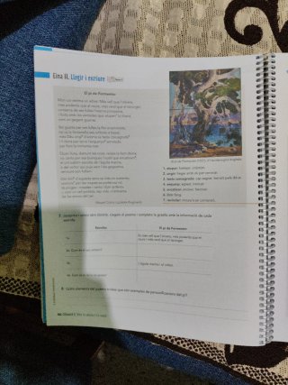 Llengua Catalana i Literatura 1, ESO, Situacion...