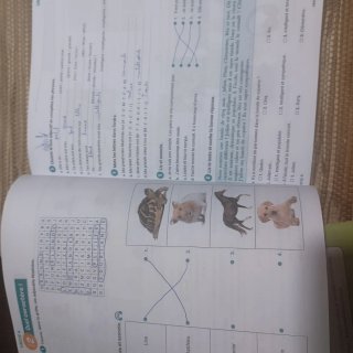 Libro de texto  de francés 1 ESO