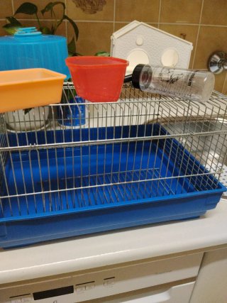Jaula para hámster con accesorios