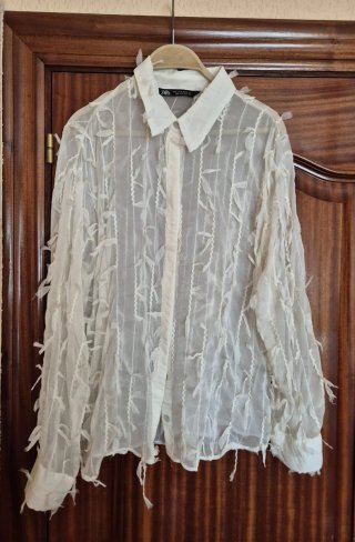 Blusa Zara Transparente