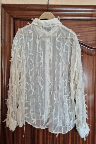 Blusa Zara Transparente