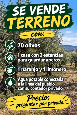 TERRENO CON AGUA POTABLE Y CASA DE APEROS