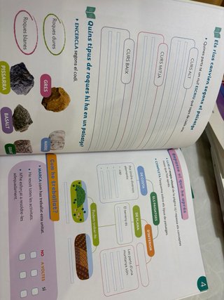 Primaria 2 libros