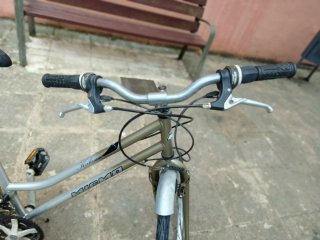 Bicicleta de paseo plateada