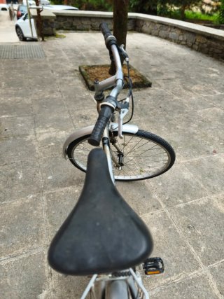 Bicicleta de paseo plateada