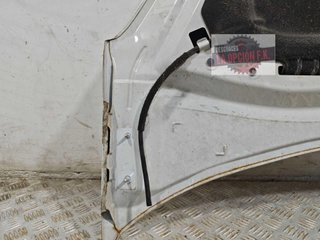 CAPO Citroen C3 (09.2009->)