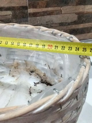 Conjunto 3 maceteros de Mimbre con Patas Madera