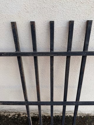 Reja  Negra