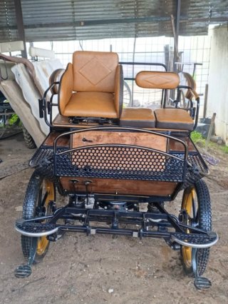 Coche de caballos con suspensión neumática