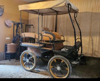 Coche de caballos con suspensión neumática