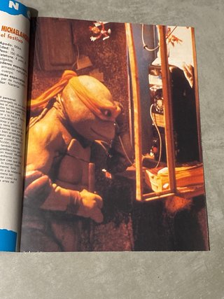 Tortugas Ninja