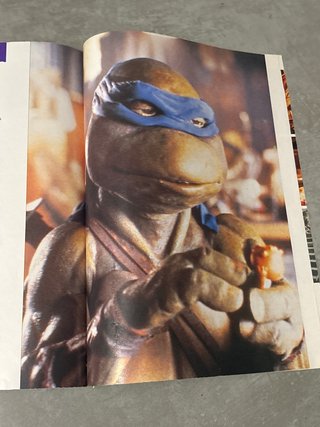 Tortugas Ninja