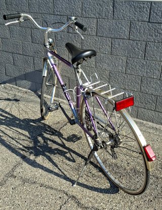 Bici da città Wander uomo